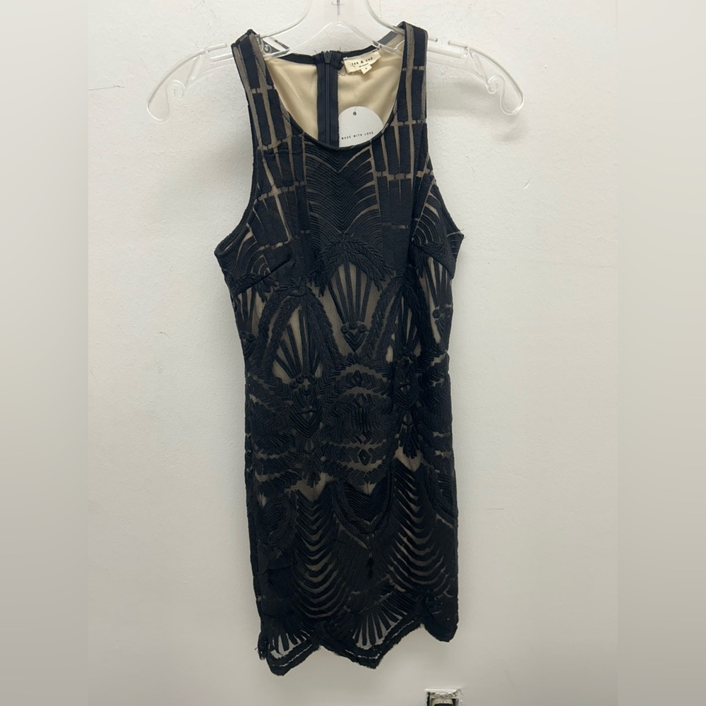 Tea n Cup Black Sheer Bodycon Dress